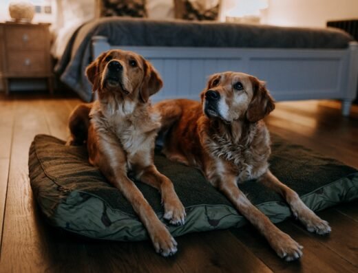 Mocketts Farm Cottages