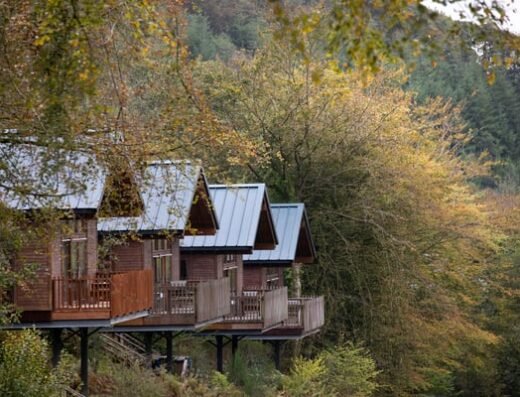 Forest Holidays Deerpark